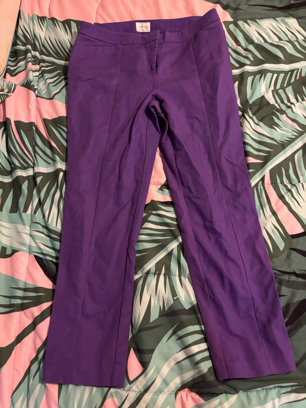 Chico's Deep Purple Capri Pants